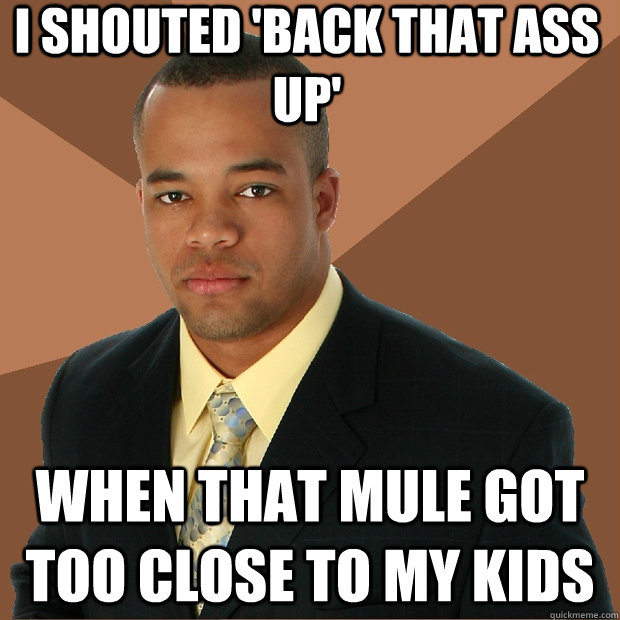 I shouted 'back that ass up' when that mule got too close to my kids - I shouted 'back that ass up' when that mule got too close to my kids  Successful Black Man