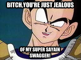 Bitch,you're just jealous of my super sayain swagger!  Dragon Ball Z Kai