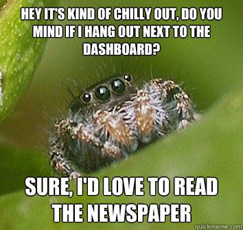 Hey it's kind of chilly out, do you mind if I hang out next to the dashboard? Sure, I'd love to read the newspaper  Misunderstood Spider