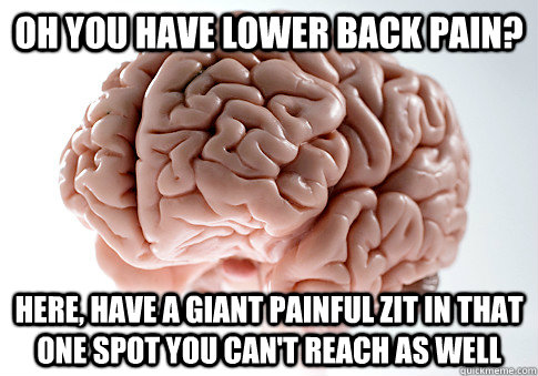 Oh you have lower back pain? Here, have a giant painful zit in that one spot you can't reach as well  Scumbag Brain