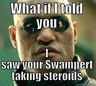 Nice try Swampert - WHAT IF I TOLD YOU I SAW YOUR SWAMPERT TAKING STEROIDS Matrix Morpheus