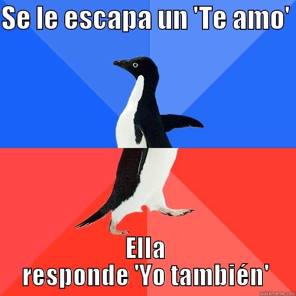 SE LE ESCAPA UN 'TE AMO'  ELLA RESPONDE 'YO TAMBIÉN' Socially Awkward Awesome Penguin