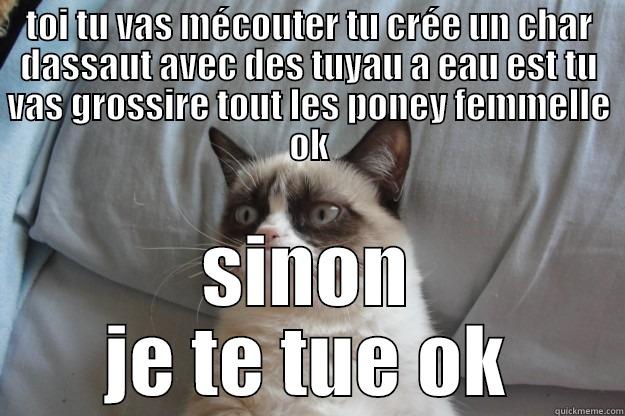 TOI TU VAS MÉCOUTER TU CRÉE UN CHAR DASSAUT AVEC DES TUYAU A EAU EST TU VAS GROSSIRE TOUT LES PONEY FEMMELLE OK SINON JE TE TUE OK Grumpy Cat