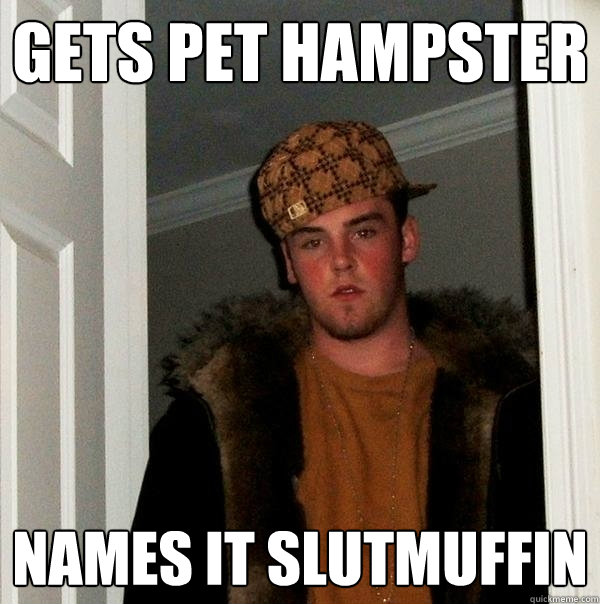 gets pet hampster names it Slutmuffin - gets pet hampster names it Slutmuffin  Scumbag Steve