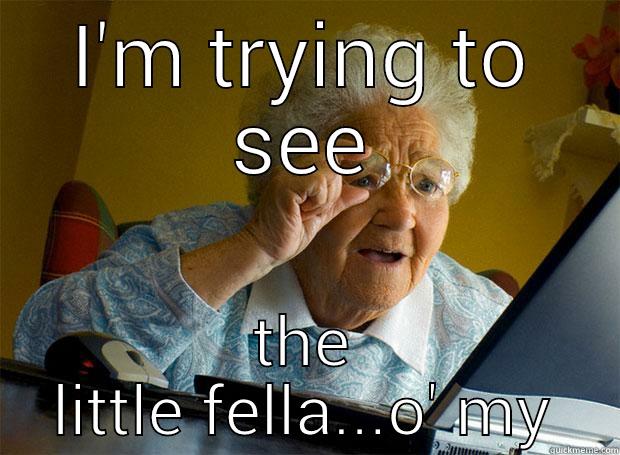 I'M TRYING TO SEE THE LITTLE FELLA...O' MY Grandma finds the Internet