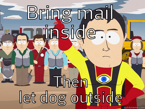 BRING MAIL INSIDE THEN LET DOG OUTSIDE Captain Hindsight