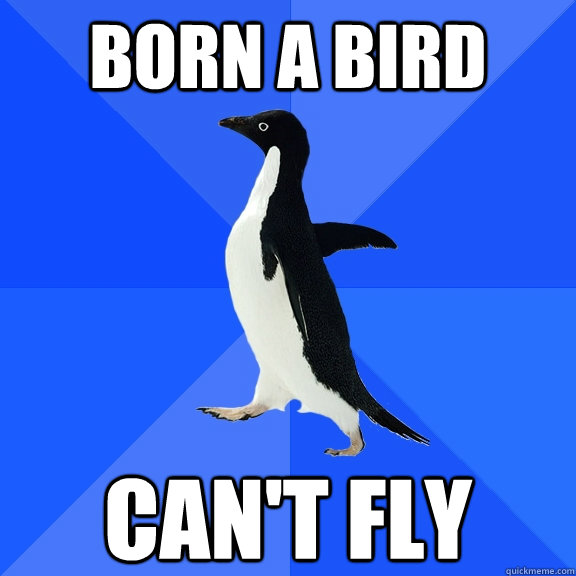 born-a-bird-can-t-fly-socially-awkward-penguin-quickmeme