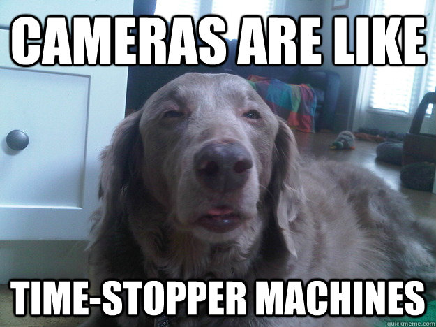 cameras are like Time-stopper machines  10 Dog