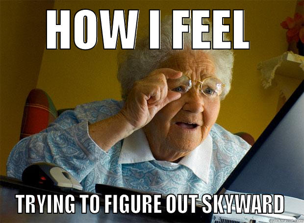 HOW I FEEL TRYING TO FIGURE OUT SKYWARD Grandma finds the Internet