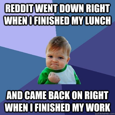 Reddit Went Down Right When I Finished My Lunch And Came Back On Right 