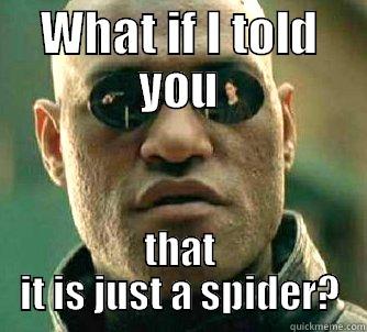 What if I told you that it is just a spider? - WHAT IF I TOLD YOU THAT IT IS JUST A SPIDER? Matrix Morpheus