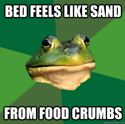 Bed feels like sand from food crumbs  Foul Bachelor Frog