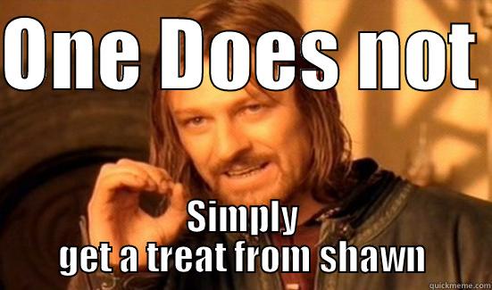 ONE DOES NOT  SIMPLY GET A TREAT FROM SHAWN Boromir