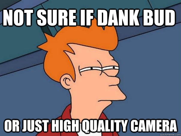 not sure if dank bud or just high quality camera - not sure if dank bud or just high quality camera  Futurama Fry