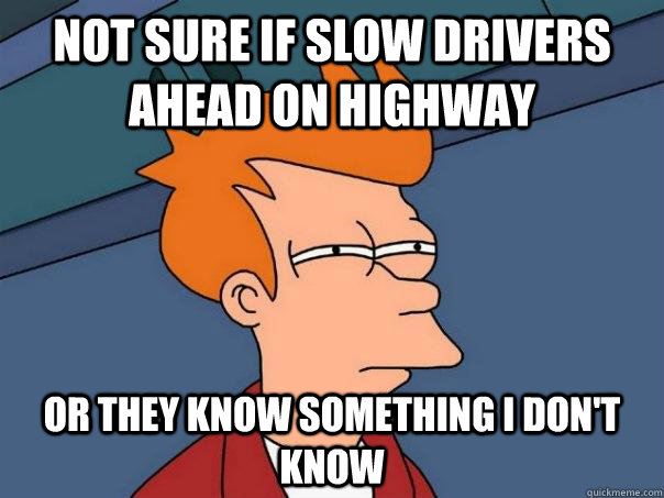 Not sure if slow drivers ahead on highway or they know something i don't know  Futurama Fry