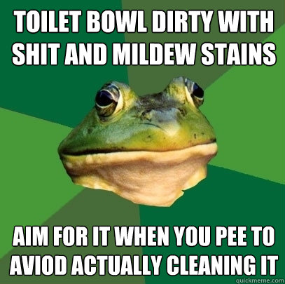 Toilet bowl dirty with shit and mildew stains aim for it when you pee to aviod actually cleaning it - Toilet bowl dirty with shit and mildew stains aim for it when you pee to aviod actually cleaning it  Foul Bachelor Frog