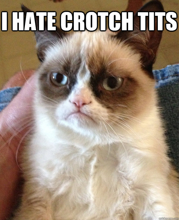 I hate crotch tits   Grumpy Cat