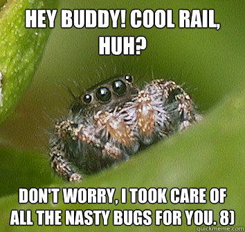 Hey buddy! Cool rail, huh? Don't worry, I took care of all the nasty bugs for you. 8)  Misunderstood Spider