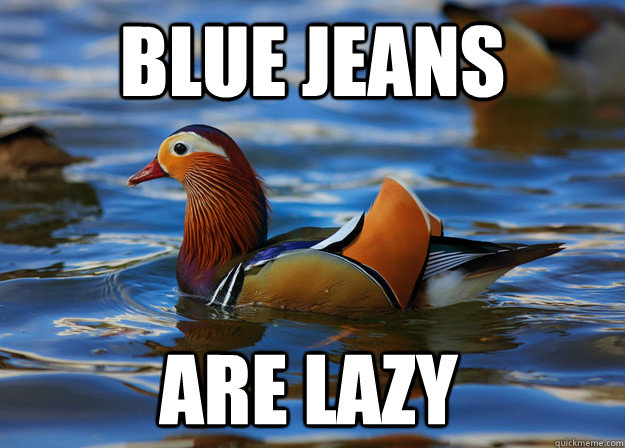 Blue Jeans are lazy  Fashion Advice Mallard