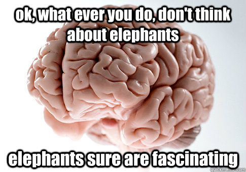 ok, what ever you do, don't think about elephants  elephants sure are fascinating  - ok, what ever you do, don't think about elephants  elephants sure are fascinating   Scumbag Brain