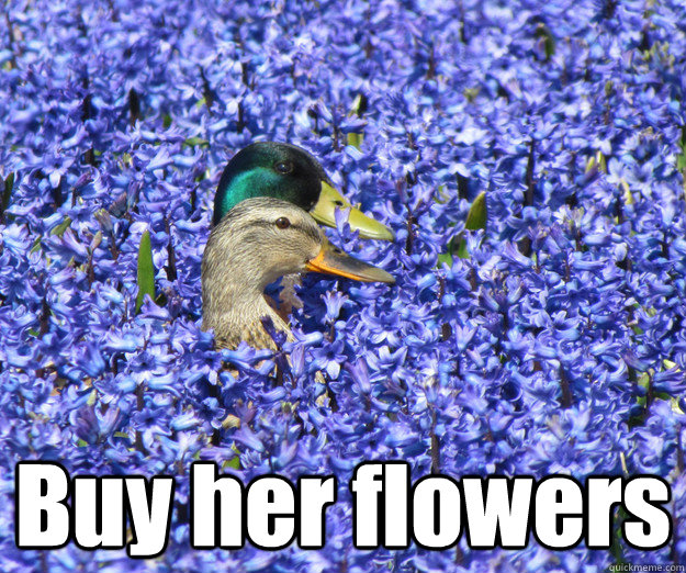  Buy her flowers -  Buy her flowers  Misc