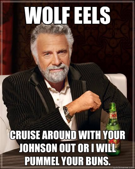 WOLF EELS Cruise around with your johnson out or I will pummel your buns. - WOLF EELS Cruise around with your johnson out or I will pummel your buns.  Dos Equis man