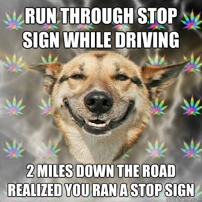 run through stop sign while driving 2 miles down the road realized you ran a stop sign  Stoner Dog