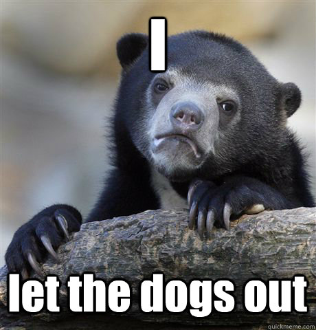 I let the dogs out  Confession Bear