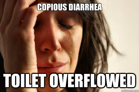 copious diarrhea  toilet overflowed - copious diarrhea  toilet overflowed  First World Problems