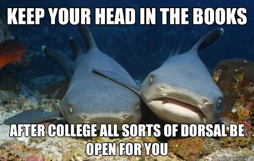 keep your head in the books after college all sorts of dorsal be open for you  