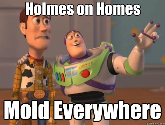 Holmes on Homes Mold Everywhere - Holmes on Homes Mold Everywhere  Toy Story