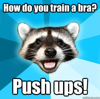 How do you train a bra? Push ups!   Lame Pun Coon