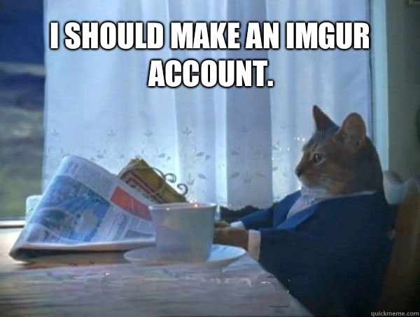 I should make an Imgur account.   - I should make an Imgur account.    morning realization newspaper cat meme