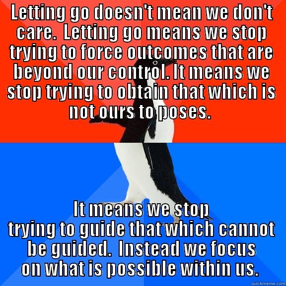 LETTING GO DOESN'T MEAN WE DON'T CARE.  LETTING GO MEANS WE STOP TRYING TO FORCE OUTCOMES THAT ARE BEYOND OUR CONTROL. IT MEANS WE STOP TRYING TO OBTAIN THAT WHICH IS NOT OURS TO POSES.  IT MEANS WE STOP TRYING TO GUIDE THAT WHICH CANNOT BE GUIDED.  INSTEAD WE FOCUS ON WHAT IS POSSIBLE WITHIN US.  Socially Awesome Awkward Penguin