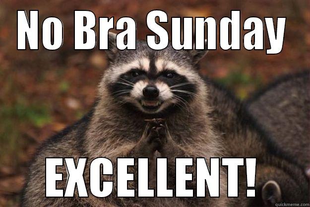 NO BRA SUNDAY EXCELLENT! Evil Plotting Raccoon