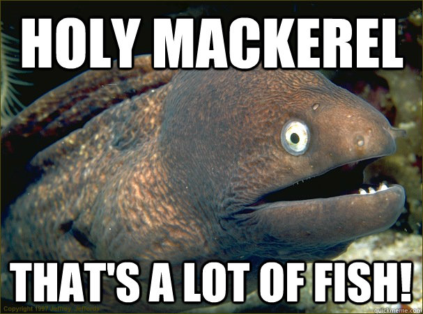 HOLY MACKEREL That's a lot of fish!  Bad Joke Eel