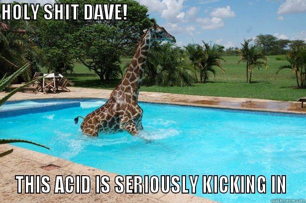 GIRAFFE holy shit - HOLY SHIT DAVE!                                                                              THIS ACID IS SERIOUSLY KICKING IN Misc