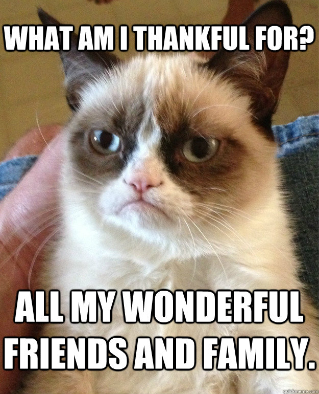 What am i thankful for? All my wonderful friends and family. - What am i thankful for? All my wonderful friends and family.  Grumpy Cat