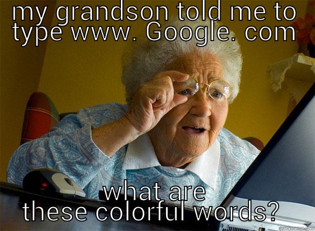 What?  - MY GRANDSON TOLD ME TO TYPE WWW. GOOGLE. COM WHAT ARE THESE COLORFUL WORDS?  Grandma finds the Internet