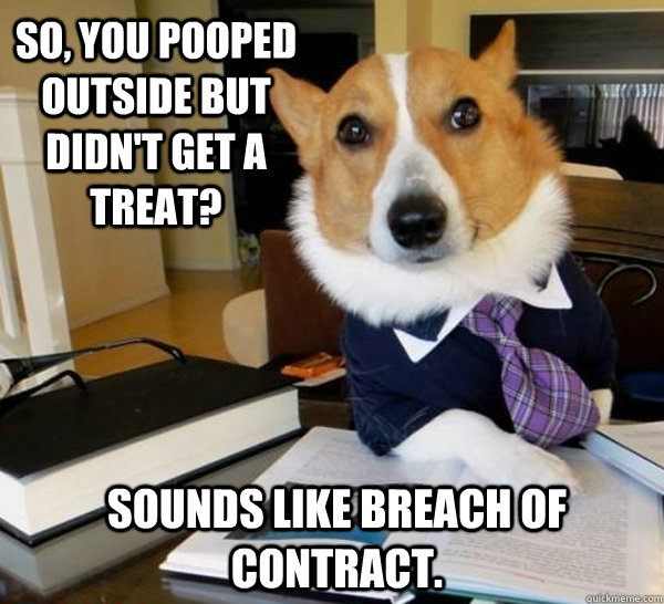 So, you pooped outside but didn't get a treat? Sounds like breach of contract.  Lawyer Dog