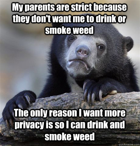 My parents are strict because they don't want me to drink or smoke weed The only reason I want more privacy is so I can drink and smoke weed  Confession Bear