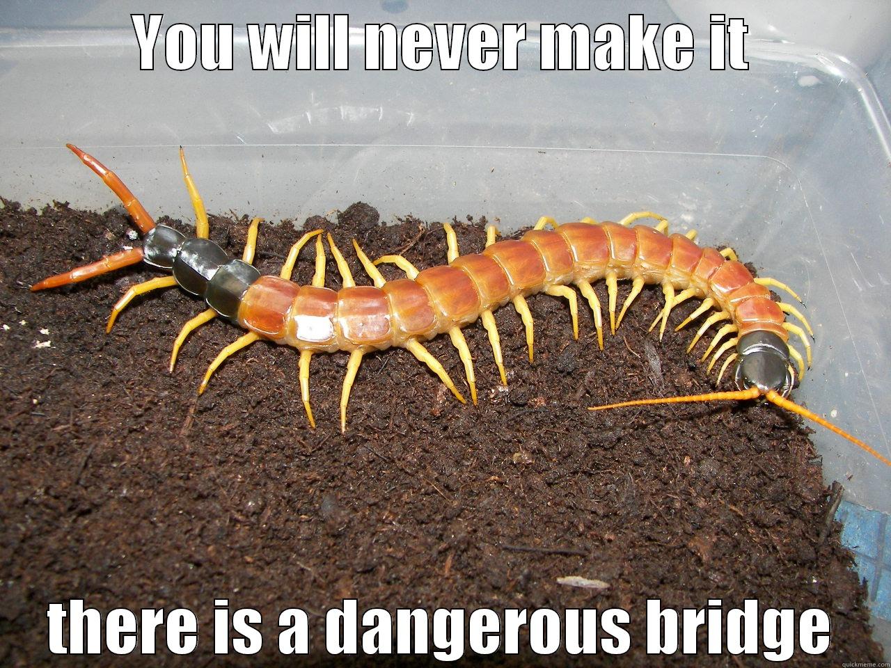 Advice Scolopendra - YOU WILL NEVER MAKE IT THERE IS A DANGEROUS BRIDGE Misc