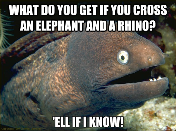 What do you get if you cross an elephant and a rhino? 'ell if i know!  Bad Joke Eel