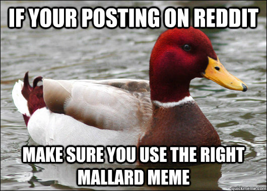 iF YOUR POSTING ON REDDIT MAKE SURE YOU USE THE RIGHT MALLARD MEME  Malicious Advice Mallard