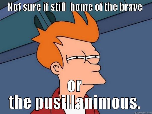 NOT SURE IF STILL  HOME OF THE BRAVE OR THE PUSILLANIMOUS. Futurama Fry