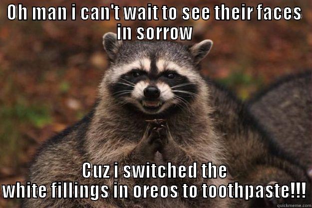 OH MAN I CAN'T WAIT TO SEE THEIR FACES IN SORROW CUZ I SWITCHED THE WHITE FILLINGS IN OREOS TO TOOTHPASTE!!! Evil Plotting Raccoon