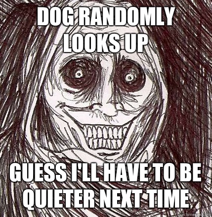 Dog randomly looks up Guess I'll have to be quieter next time - Dog randomly looks up Guess I'll have to be quieter next time  Horrifying Houseguest