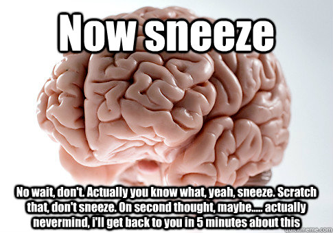 Now sneeze No wait, don't. Actually you know what, yeah, sneeze. Scratch that, don't sneeze. On second thought, maybe..... actually nevermind, i'll get back to you in 5 minutes about this  Scumbag Brain