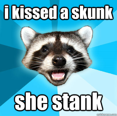 i kissed a skunk  she stank  Lame Pun Coon