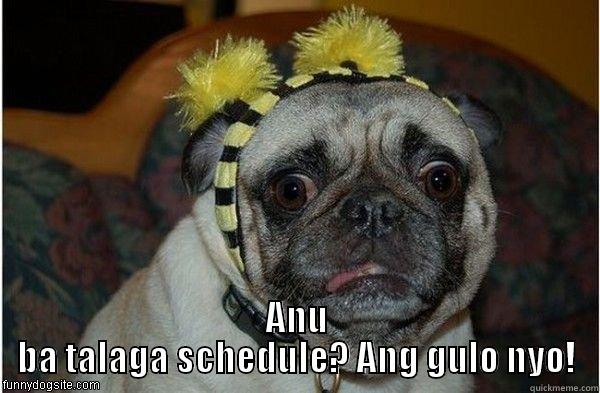  ANU BA TALAGA SCHEDULE? ANG GULO NYO! Misc